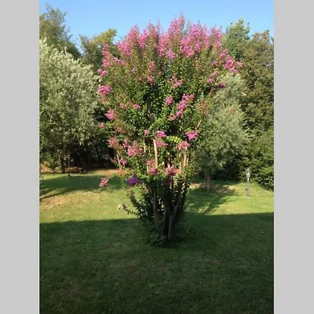 Belvedere-con Piscina A Bardolino *